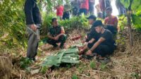 Tragedi di Sungai Cimandiri: Siswa SMK Tewas Tenggelam Saat Berenang