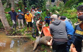 Petugas mengevakuasi jenazah perempuan dari kolam rawa di Kampung Cisarua, Desa Sagaranten, Kecamatan Sagaranten, Kabupaten Sukabumi.(FOTO: NANDI/RADARSUKABUMI)