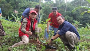 HUT ke-80 PMI Sukabumi: Tebarkan Kebaikan, Lawan Perubahan Iklim
