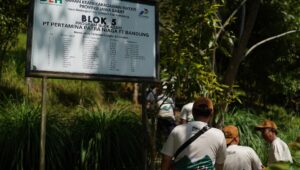 Pertamina Patra Niaga Regional JBB Tanam 100 Pohon Endemik di Kehati Kiara Payung