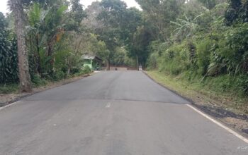 Ruas jalan Wanayasa batas Purwakarta/ Subang KM JKT 139. (foto: ron's/Radar)