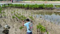 Pertamina Patra Niaga Regional Jawa Bagian Barat Luncurkan BIOGATOR untuk Rehabilitasi Mangrove