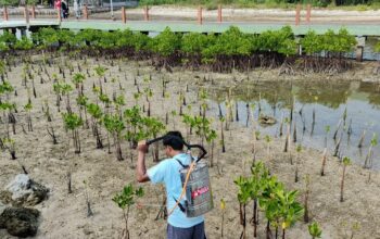 Pertamina Patra Niaga Regional Jawa Bagian Barat Luncurkan BIOGATOR untuk Rehabilitasi Mangrove