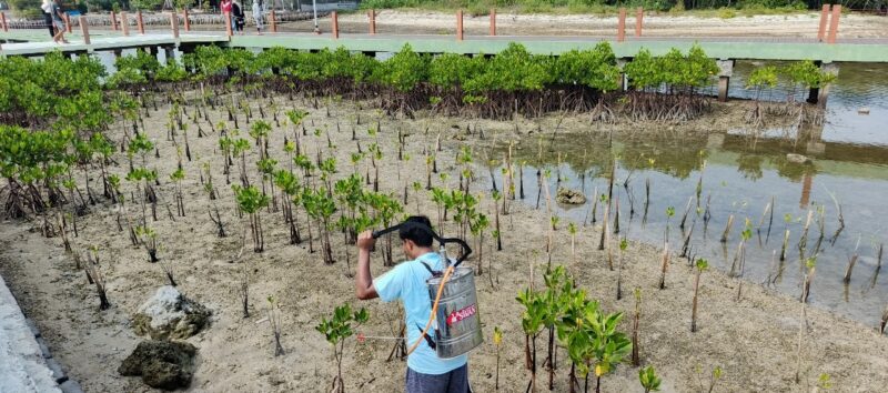 Pertamina Patra Niaga Regional Jawa Bagian Barat Luncurkan BIOGATOR untuk Rehabilitasi Mangrove