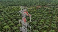 Akselerasi Transisi Energi Bersih, PLN Dorong Interkoneksi ASEAN Power Grid