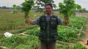 Pertamina Patra Niaga Regional JBB Gelar Panen Sayuran Organik dan Resmikan Sistem Pengolahan Air Minum di FT Cikampek
