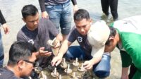 Pertamina Patra Niaga Regional JBB Tanam 500 Bibit Mangrove dan Konservasi Terumbu Karang Pulau Untung Jawa
