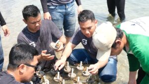 Pertamina Patra Niaga Regional JBB Tanam 500 Bibit Mangrove dan Konservasi Terumbu Karang Pulau Untung Jawa