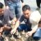 Pertamina Patra Niaga Regional JBB Tanam 500 Bibit Mangrove & Konservasi Terumbu Karang Pulau Untung Jawa