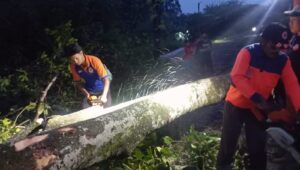 Hujan Deras dan Angin Kencang Landa Sukabumi: Rumah Rusak, Pohon Tumbang, Longsor Terjadi