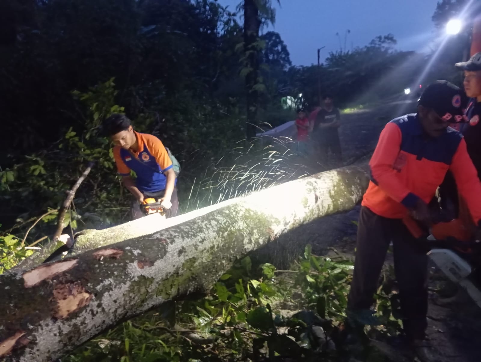 EVAKUASI: Sejumlah personel BPBD Kota Sukabumi, saat melakukan evakuasi pohon tumbang di wilayah kerjanya, belum lama ini.