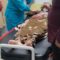 DIEVAKUASI : Warga dan Kades Kebonpedes, Dadan Apriandani saat mengevakuasi Rahmat (44) pengidap gagal ginjal ke RSUD R Syamsudin SH Kota Sukabumi.