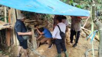 Viral di TikTok, DLH Temukan 13 Tambang Emas Ilegal di Cikakak Sukabumi