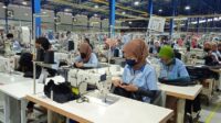 Tingkat Pengangguran Terbuka Agustus 2025 Turun, Berkurang 4.000 Orang dari Tahun Lalu