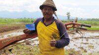Pemerataan Ekonomi Makin Nyata, BRI Salurkan BLTS Kesra Tahap I Senilai Rp4,4 triliun untuk 4,9 Juta Keluarga