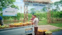 BRI Berdayakan 4.909 Desa BRILiaN, Wujudkan Semangat Asta Cita Untuk Pemerataan Ekonomi