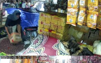 Rekaman CCTV yang memperlihatkan aksi pencurian di salah satu kios sembako dan sayuran di Pasar Semi Modern Palabuhanratu, Kabupaten Sukabumi, viral di media sosial. Peristiwa tersebut terjadi pada Kamis (6/11) dini hari sekitar pukul 02.59 WIB