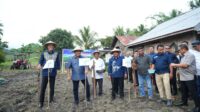 Bersama Perkuat Ekonomi, Wali Kota Sukabumi dan Poktan Gorontalo Tanam Kedelai di Tolangohula