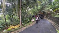 Truk Colt Diesel Terjun ke Jurang di Cisolok, Satu Luka-Luka