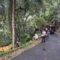 FOTO : NANDI/RADARSUKABUMI. Kondisi truk yang terjun ke jurang di Cisolok, kabupaten Sukabumi.