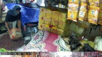 Terekam CCTV, Polres Sukabumi Tangkap Terduga Pencuri di Pasar Semi Modern Palabuhanratu