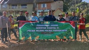 Asta Cita Presiden RI, Polsek Bojong Tanam Jagung di Lahan 5000 Meter: Dukung Ketahanan Pangan