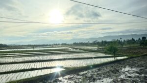 Prakiraan Cuaca Sukabumi 17 Mei 2026: Pagi Cerah Berawan, Sore Hujan