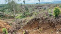 Kemenhut Kejar 12 Pelaku Perusak DAS di Tapanuli Penyebab Banjir 