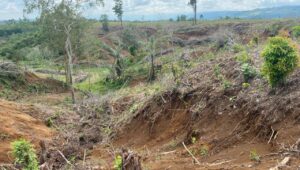 Kemenhut Kejar 12 Pelaku Perusak DAS di Tapanuli Penyebab Banjir 