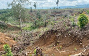Kementerian Kehutanan melalui Direktorat Jenderal Penegakan Hukum (Ditjen Gakkum) membentuk tim gabungan untuk menindak 12 subjek hukum yang diduga merusak Daerah Aliran Sungai (DAS) di Tapanuli Utara dan Tapanuli Selatan.