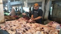 Awal Pekan, Harga Ayam dan Cabai Hijau Naik