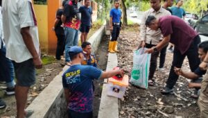 Puluhan Anak Ular Gegerkan Warga Jalan Sudirman Palabuhanratu