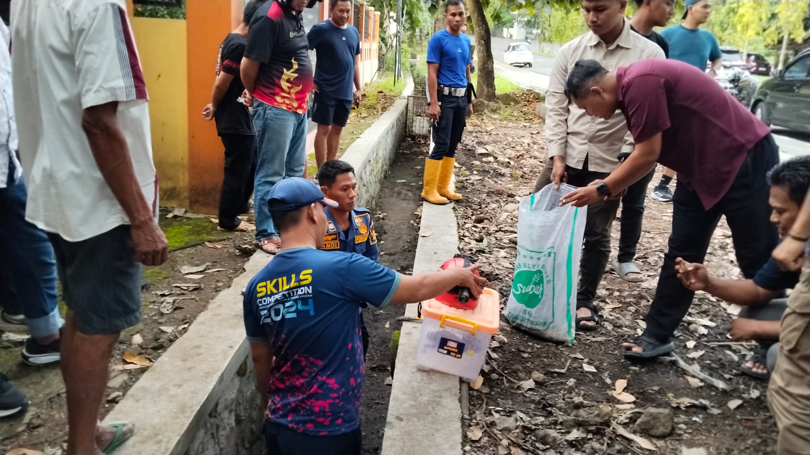 Personel dari Damkar saat evakuasi puluhan ekor anak ular sanca yang ditemukan di selokan dan gorong gorong di jalan Sudirman Palabuhanratu. Selasa (9/12/2025).