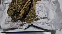 Kurir Ekstasi dan Ganja Diciduk di Sukabumi, Polisi Kejar Jaringan Pengedar
