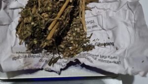 Kurir Ekstasi dan Ganja Diciduk di Sukabumi, Polisi Kejar Jaringan Pengedar