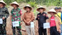 Kabupaten Sukabumi Genjot Swasembada Pangan 2025, Tanam Padi Tembus 169 Ribu Hektare