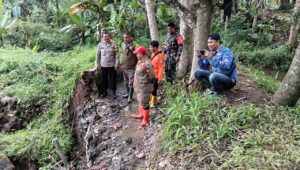 TPT Jebol di Gunungguruh, Puluhan Hektare Sawah Terancam Kering