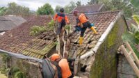 Angin Kencang Terjang Sukabumi, Puluhan Pohon Tumbang dan Rumah Rusak