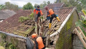 Angin Kencang Terjang Sukabumi, Puluhan Pohon Tumbang dan Rumah Rusak