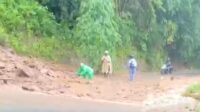 Longsor Tutup Jalan Kiaradua–Bagbagan, Kendaraan Kecil Terhambat