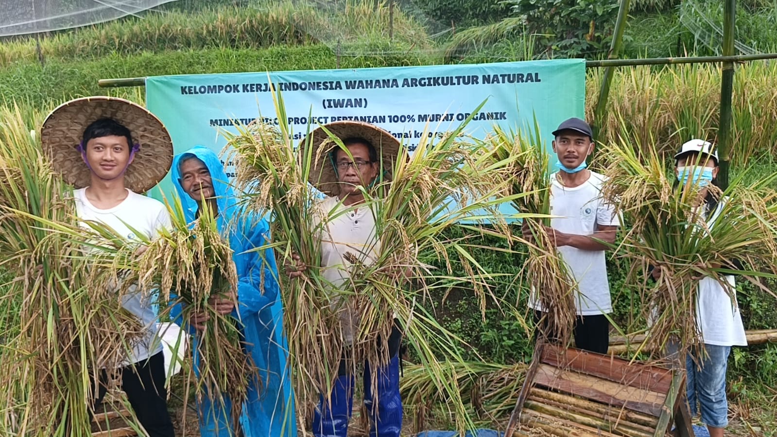 MELIMPAH : Kelompok IWAN saat menunjukan hasil panen raya padi di Kelompok tani di Kampung Cipari, Desa Cisaat, Kecamatan Cicurug, Kabupaten Sukabumi.