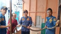 Ratusan Ular di Sukabumi Masuk Permukiman, Damkar Turun Tangan