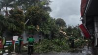 Pertamina Patra Niaga Regional JBB Cepat Tangani Insiden Pohon Tumbang Menimpa Sarfas SPBU 34.104.02 Jakarta Pusat
