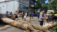 Cuaca Ekstrem Hantam Sukabumi, 38 Titik Bencana Tercatat