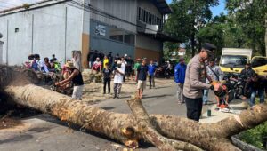 Cuaca Ekstrem Hantam Sukabumi, 38 Titik Bencana Tercatat