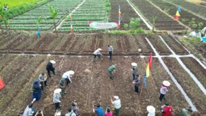 Polres Sukabumi Tanam Jagung, Perkuat Ketahanan Pangan Nasional