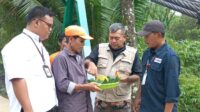 Jembatan Cirampo Resmi Beroperasi, Warga Jampangtengah–Cikembar Kini Terhubung