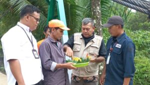 Jembatan Cirampo Resmi Beroperasi, Warga Jampangtengah–Cikembar Kini Terhubung