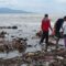 Fenomena serakan sampah kembali mencemari kawasan Pantai Talanca Loji, Desa Loji, Kecamatan Simpenan, Kabupaten Sukabumi.