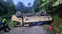 Lolos dari Maut, Sopir dan Penumpang Selamat Saat Truk Terguling